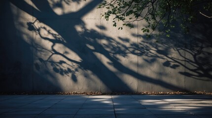 Aufkleber - Shadows of trees on a concrete wall at dusk creating a serene yet eerie atmosphere with room for text or design elements.