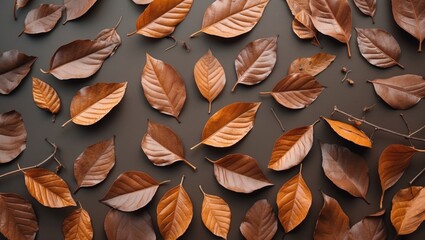 Aufkleber - Autumnal composition of various brown leaves on a dark background creating a warm and textured natural backdrop for design purposes.