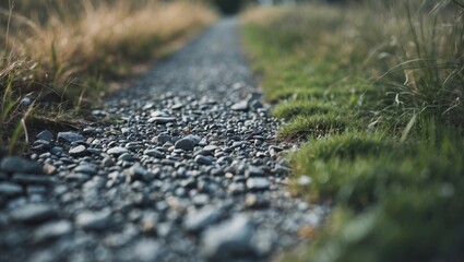 Aufkleber - Gravel path surrounded by grass in soft focus showcasing natural textures and serene outdoor ambiance ideal for landscape themes