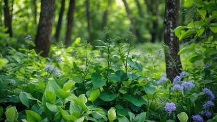 Poster - Lush Greenery With Wildflowers Creating A Serene Atmosphere In A Sunlit Forest