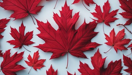Aufkleber - scattered red maple leaves creating a vibrant autumnal background with rich textures and details on a light surface