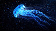© Yuliia Litvinova - A deep-sea jellyfish glows neon blue in the pitch-black abyss, its translucent body pulsating like a living light. Long, silky tendrils trail behind, swaying gracefully with the ocean currents.