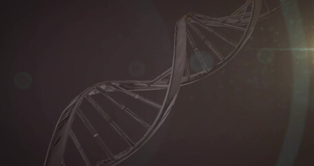Poster - Image of dna strand over black background