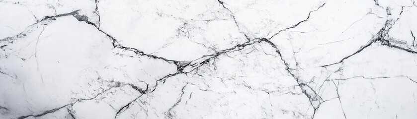 Poster - Elegant White Marble Texture with Black Veins for Background