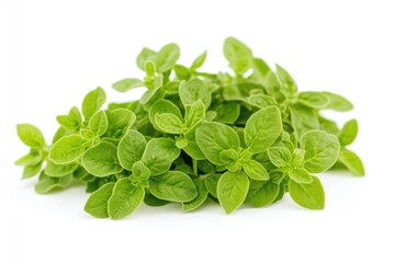 Poster - A pile of fresh green leaves on a white surface