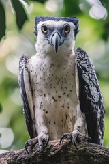 Poster - A close-up shot of a bird perched on a branch, featuring its feathers and beak
