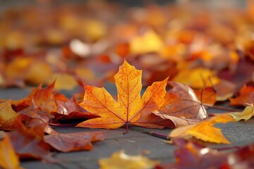 Poster - A close-up shot of a bunch of leaves on the ground, withered and dry