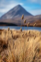 Poster - A serene landscape with a mountain in the background
