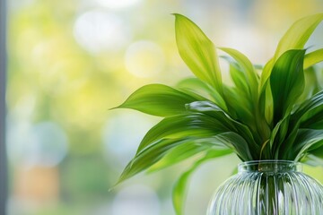 Poster - A small green plant sits in a clear glass vase on a windowsill, perfect for adding some natural charm to any room