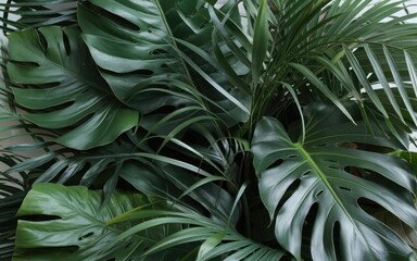 green leaf background