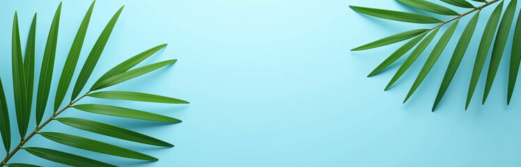 Poster - Elegant Banner Design Featuring Palm Fronds On A Serene Blue Background Leaving Ample Space For Text Overlay.