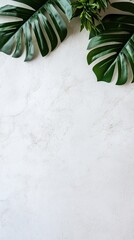 Poster - Bright tropical palm leaves create an inviting atmosphere on a white wooden backdrop, perfect for seasonal decor or design inspiration