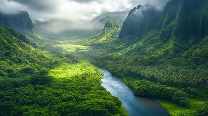 Wall Mural - Heavenly Lush Valley: A Serene River Winding Through Verdant Mountains