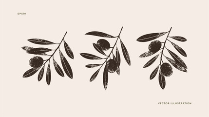 olive branches collection. retro textured silhouettes illustration. vector illustration