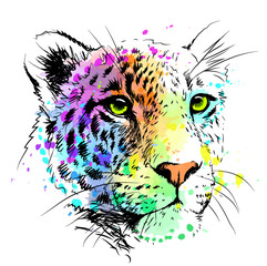Wall Mural - abstract, sketch, color portrait of a leopard in watercolor style.