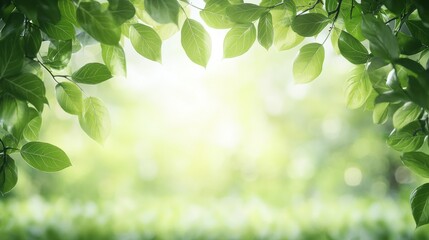 Poster - A serene, sunlit scene featuring lush green leaves framing a soft, blurred background, evoking feelings of tranquility and nature.