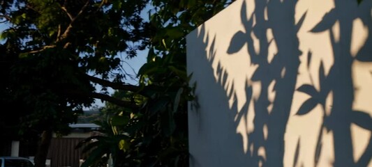 Poster - Dancing tree shadows on sunlit wall capture nature's quiet beauty