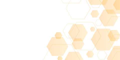 Leinwandbilder - Abstract vector hexagonal frame futuristic pattern, innovation future technology background. Hexagonal structure molecule and communication background for medicine, science, Vector illustration..