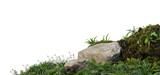 3D render foreground stump with moss and decorative tropical plants On a transparent background