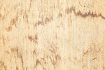 Wall Mural - Natural old brown wood texture macro closeup