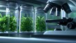 © chusnul - Close-up view of a laboratory setting with jars of green plants beside a microscope, showcasing research
