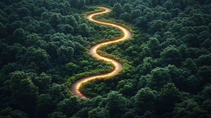 Poster - Winding path through lush green forest under soft glowing light in enchanted nature setting
