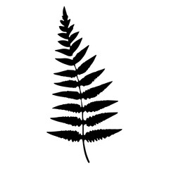 leaf, design, nature, plant, graphic, silhouette, black