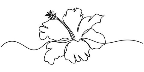 Hibiscus flower in one continuous line drawing vector illustration, Hibscus Flower Continuous Line Drawing  with Editable Stroke, Continuous One Line Hibiscus Flower | Minimalist Floral Vector.