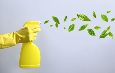 Wall Mural - Woman spraying cleaning product on grey background, closeup. Green leaves flying out of bottle