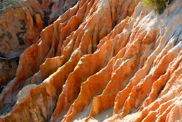 Wall Mural - walking path with breathtaking views through the coast from porches to benagil caves lagoa algarve portugal