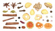 © Masha_tolk_art - Mix of various spices and dried fruit slices set watercolor illustration isolated background. Cinnamon, cardamon, star anise, cloves, pepper, raisin , ginger, orange and apple clip art. For decor