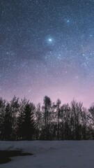 Wall Mural - vertical view of stars over winter forest, astronomy time lapse