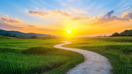 Poster - Golden hues of a setting sun illuminate a meandering path through lush green fields, creating a serene atmosphere that invites reflection at the close of day