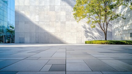 Aufkleber - Sunlight casts gentle shadows across a spacious stone tiled plaza, showcasing a large wall and a solitary tree. The setting invites a moment of tranquility in an urban oasis