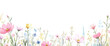© Floral - A colorful floral border with various flowers against a white background.