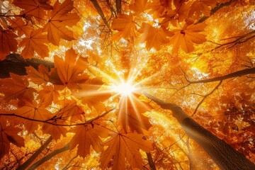 Aufkleber - Sunlight beams through a canopy of vibrant yellow leaves, illuminating a forest floor bathed in warmth, Sunlight filtering through a canopy of golden leaves