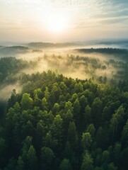 Poster - Eco friendly natural gas initiatives in misty forest setting showcasing green energy possibilities. Generative AI