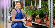 © JackF - Female flower supermarket worker examines shelf of ficus gingein ramificat to detect problematic plants. New employee of department of ornamental plants to get acquainted with assortment of goods