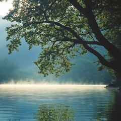 Wall Mural - Serene misty lake scene with tree branches.