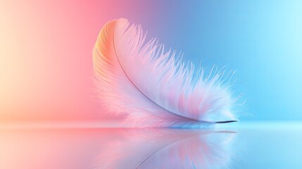 Poster - Soft pastel feather floating gently on reflective surface in tranquil light