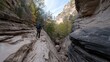© Ирина Батюк - A lone hiker navigates a winding path through a stunning canyon, characterized by impressive cliffs and vibrant fall colors. Sunlight filters through the trees, enhancing the serene atmosphere