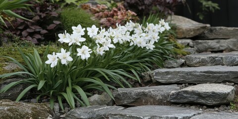 Poster - White flowers bloom vibrantly among rugged rocks, showcasing nature's resilience and beauty in a stark environment.