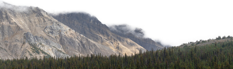 Wall Mural - A range of rugged rocky mountains with a forest in the foreground and a transparent sky
