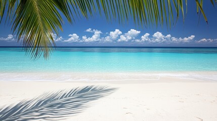 Wall Mural - A serene beach scene featuring a palm tree beside crystal-clear blue water, embodying relaxation and tropical beauty.