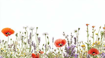 Aufkleber - A picturesque field of beautiful flowers captured in full bloom showcasing nature's splendor and vibrant colors