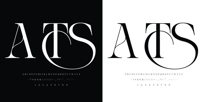 Alphabet letters font, Punctuation, numbers, Minimal Fashion Designs, Logos, Typography, etc. Modern serif fonts are decorative vintage concepts. vector illustration