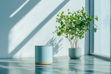 Poster - Minimalist product display modern studio photographic art soft diffused lighting close-up perspective captivating design in a serene environment