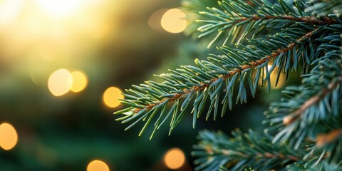 Poster - Festive Nordic Minimalism Emerald Pine Macro with Golden Bokeh - Ethereal Holiday Marketing Aesthetic for Luxury Seasonal Branding and Immersive Wellness Content