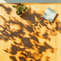 Leinwandbilder - Golden Hour Minimalism Botanical Shadow Play with Soft Tech Notebook - Mindful Workspace Design Inspiring Creative Productivity and Wellness Aesthetics
