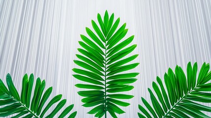 Poster - Contemporary Clean Style with Green Leaves on White Background